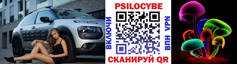 Псилоцибиновые грибы Psilocybine cubensis  Спасск 